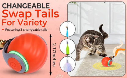 Dr. Fluffyyes Interactive Cat Toy Ball – Motion-Activated, USB Rechargeable Ball with Anti-Scratch Cover & 2 Changeable Tails – Fun Indoor Enrichment Toy for Active Cats & Kittens