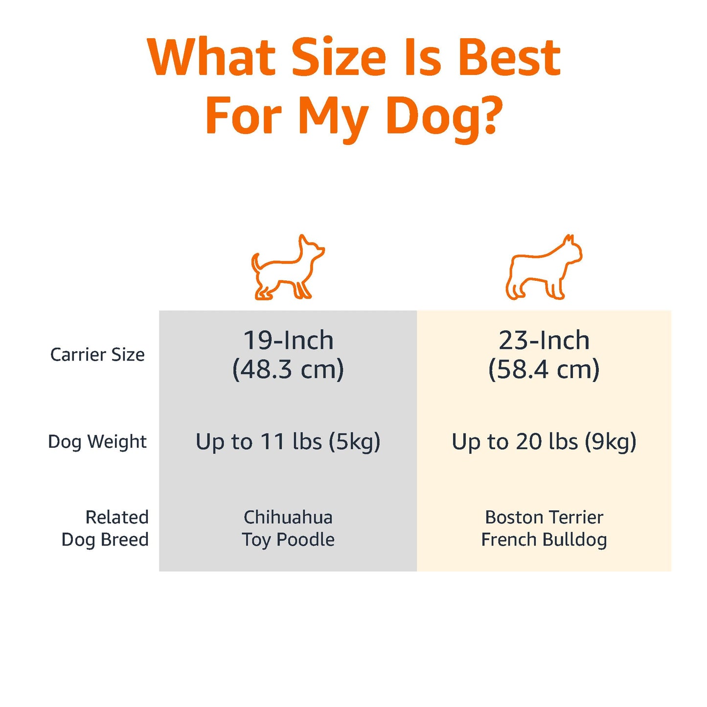 Amazon Basics Plastic Durable Buckle Dogs, Cats Animal Carrier