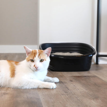 Arm & Hammer Cat Litter Box for Indoor Cats, Large Cat Litter Pan & Sifting Litter Tray with Microban, Made in USA