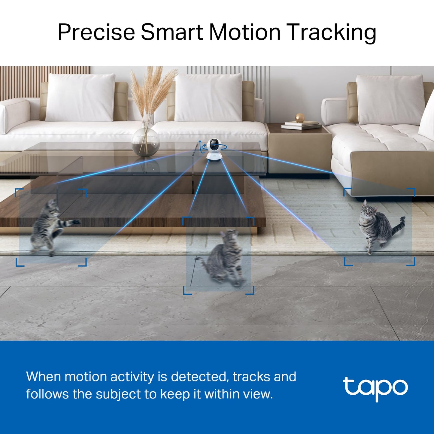 Tapo TP-Link Security Cameras for Pets