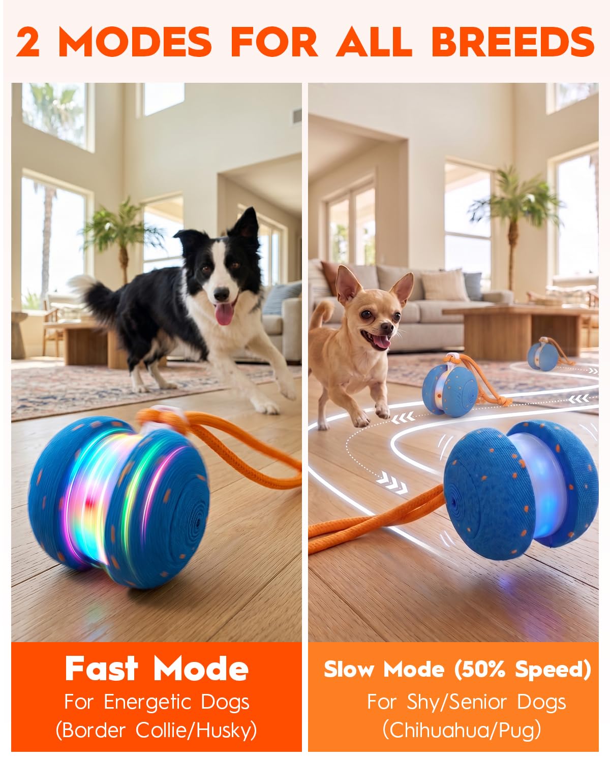 Xeuch Interactive Dog Toys, Automatic Irregular Moving and Rolling Dog Ball with 2 Speed Modes, E-TPU Material, Motion Activated Pet Toys with Rope for Dogs Puppies, Dog Stimulation Toy