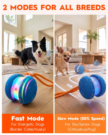 Xeuch Interactive Dog Toys, Automatic Irregular Moving and Rolling Dog Ball with 2 Speed Modes, E-TPU Material, Motion Activated Pet Toys with Rope for Dogs Puppies, Dog Stimulation Toy