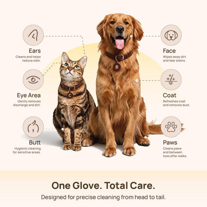 HICC PET Cleaning Deodorizing Glove Wipes for Dogs & Cats, Vet Recommended Hypoallergenic Hydrating & Nourish Fur Pet Grooming Glove Wipes
