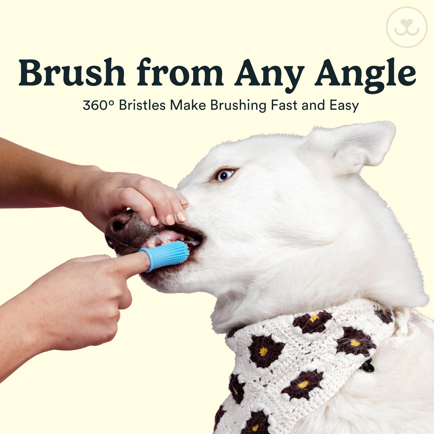 Jasper Dog Toothbrush, 360º Dog Tooth Brushing Kit, Cat Toothbrush, Dog Teeth Cleaning, Dog Finger Toothbrush, Dog Tooth Brush for Small & Large Pets, Dog Toothpaste Not Included