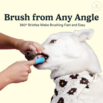 Jasper Dog Toothbrush, 360º Dog Tooth Brushing Kit, Cat Toothbrush, Dog Teeth Cleaning, Dog Finger Toothbrush, Dog Tooth Brush for Small & Large Pets, Dog Toothpaste Not Included