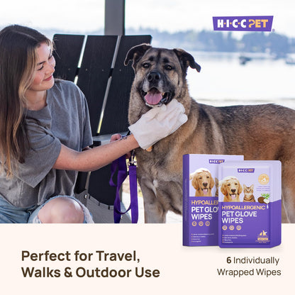 HICC PET Cleaning Deodorizing Glove Wipes for Dogs & Cats, Vet Recommended Hypoallergenic Hydrating & Nourish Fur Pet Grooming Glove Wipes