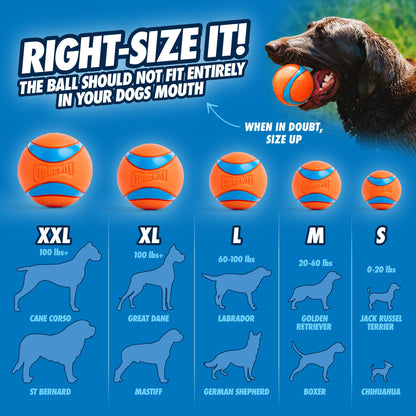 Chuckit! Ultra Dog Ball Toy & Launcher - Indoor Fetch Ball