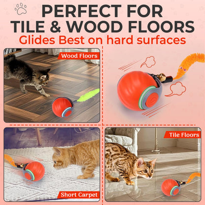 Dr. Fluffyyes Interactive Cat Toy Ball – Motion-Activated, USB Rechargeable Ball with Anti-Scratch Cover & 2 Changeable Tails – Fun Indoor Enrichment Toy for Active Cats & Kittens