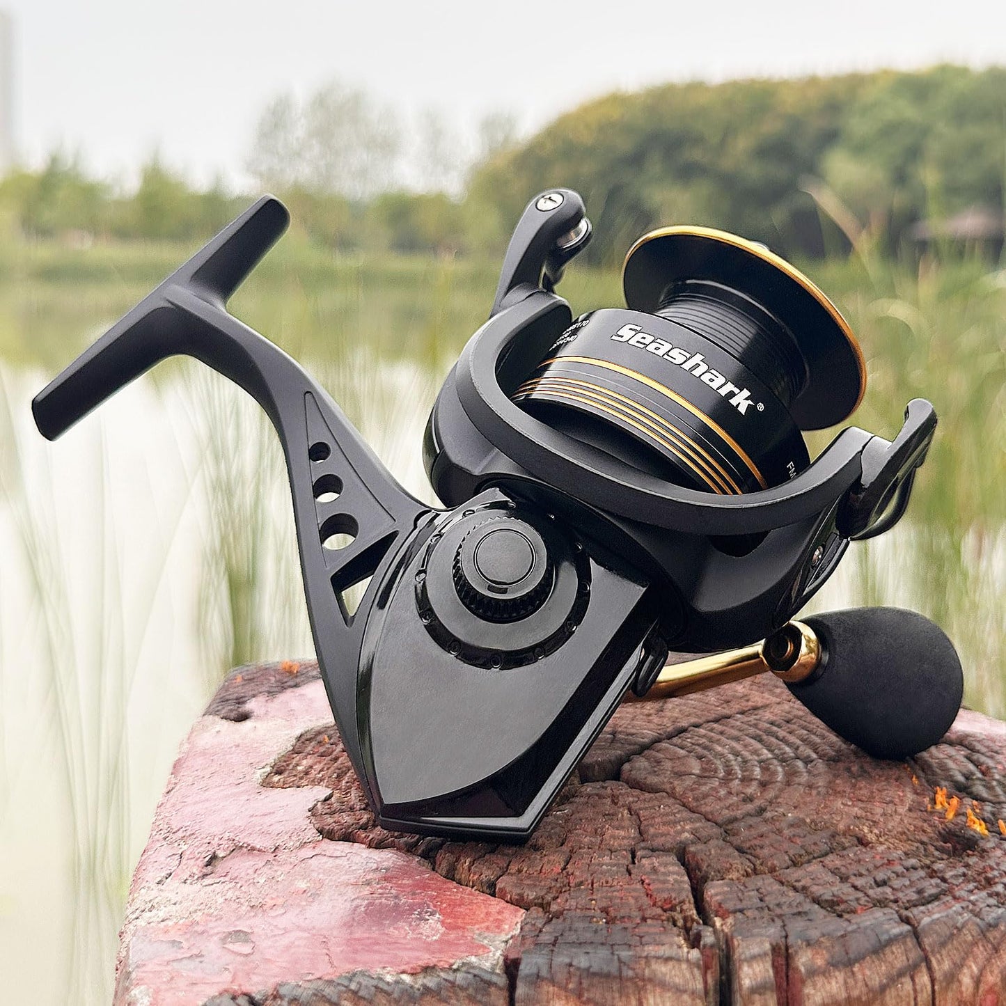 Seashark Spinning Fishing Reel FMCF,Freshwater and Seawater Fishing Reel, Max 17.6lb Carbon Resistance, High Speed Gear Ratio, Premium New Rolling Bearing and Drive Gear, Metal Spool and Handle