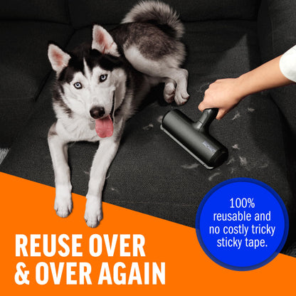 ChomChom Pet Hair Remover - Reusable Cat and Dog Hair Remover for Furniture, Couch, Carpet, Car Seats and Bedding - Eco-Friendly, Portable, Multi-Surface Lint Roller & Animal Fur Removal
