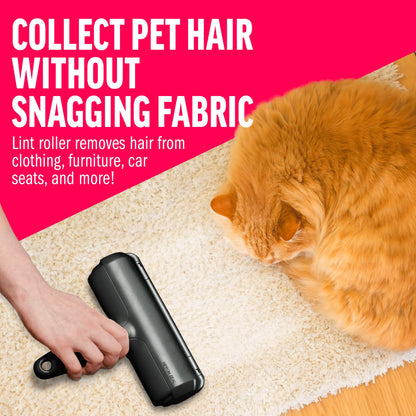 ChomChom Pet Hair Remover - Reusable Cat and Dog Hair Remover for Furniture, Couch, Carpet, Car Seats and Bedding - Eco-Friendly, Portable, Multi-Surface Lint Roller & Animal Fur Removal